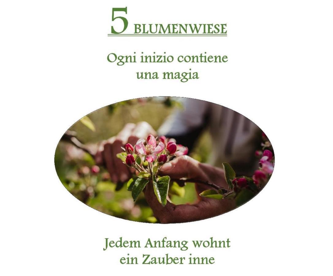 Ferienwohnungen Kaltenbachhof - Urlaub Auf Dem Biobauernhof Parcines Esterno foto